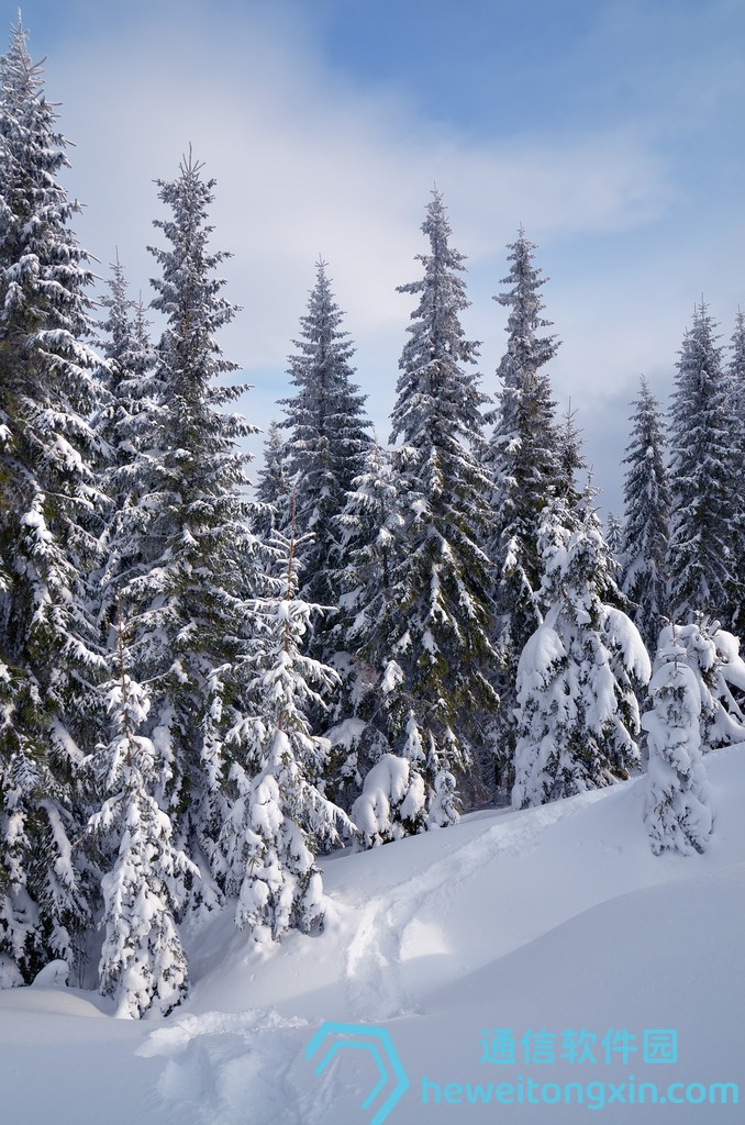 詩(shī)句藏玄機(jī)：新澳門2025廣西草頭詩(shī)全攻略，號(hào)碼靈感全解析